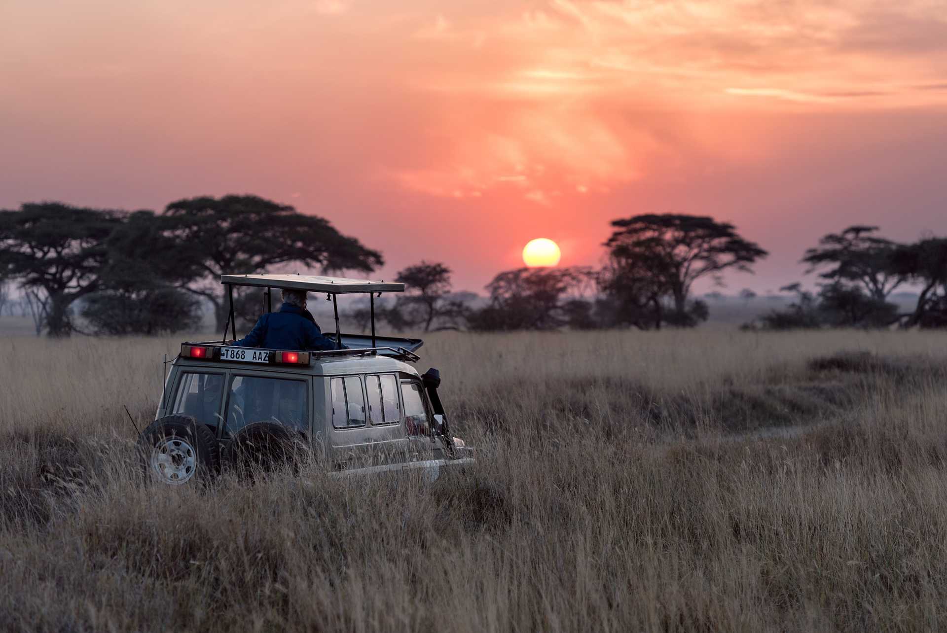 African Safari in Tanzania